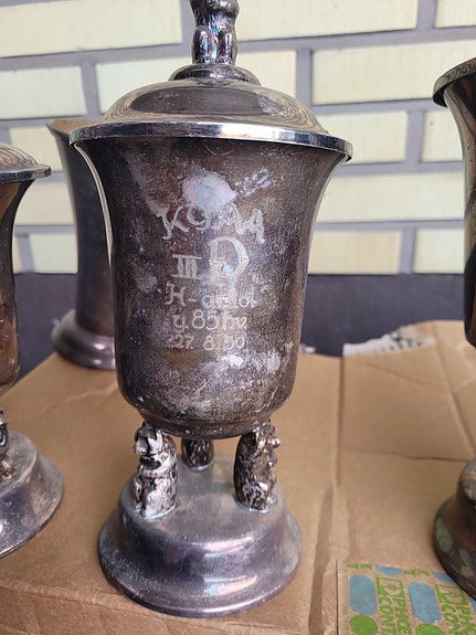 Product image 6 of 10