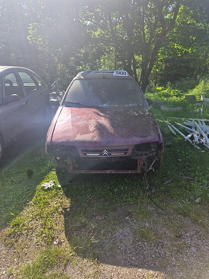 citroen zx osina