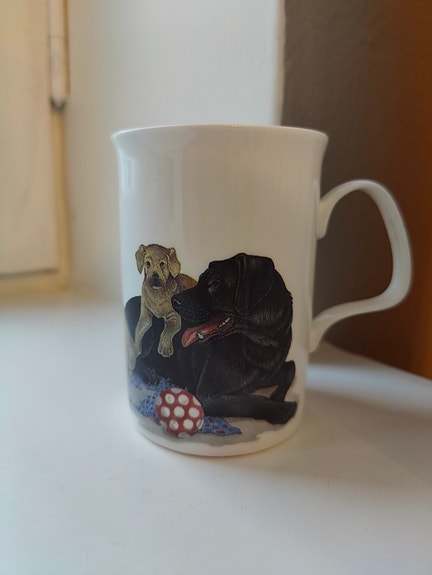 Ihana koira muki luuposliinia