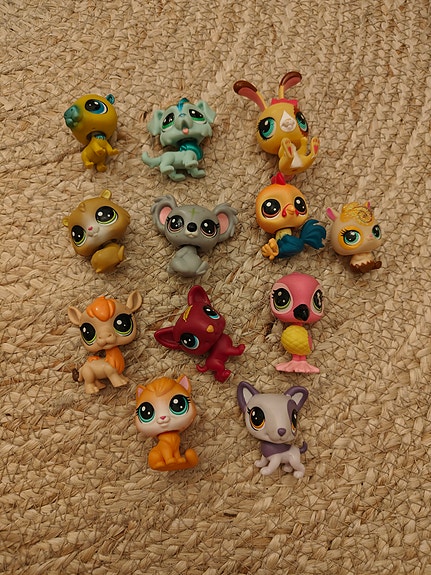 Pet shop