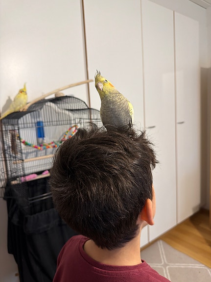 Product image 5 of 9