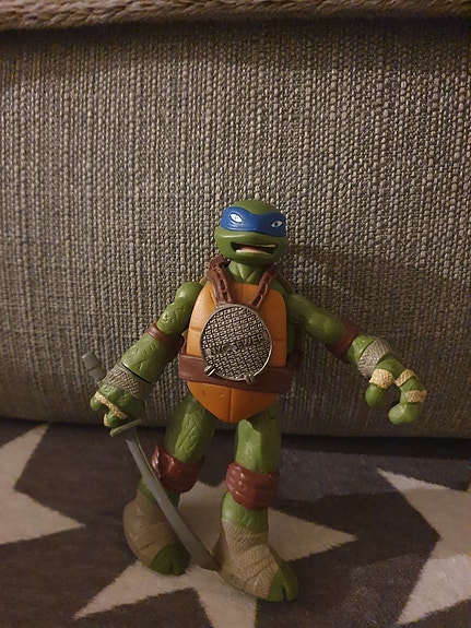 Turtles