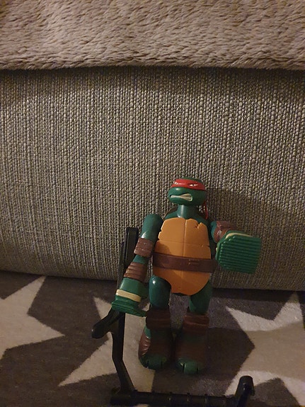 Turtles