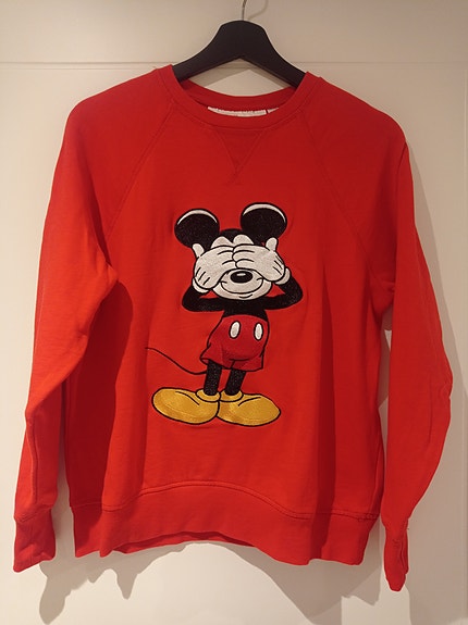 Mickey Mouse college