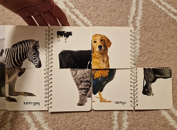 Product image 5 of 6