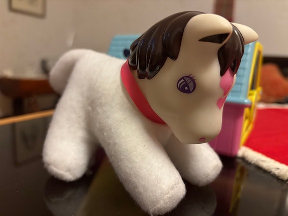 Poni + kuljetusboksi