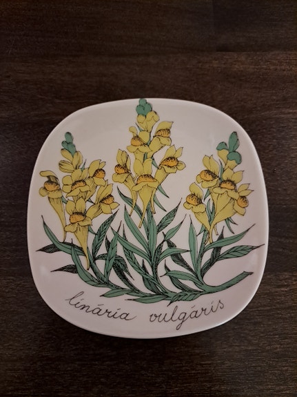 Arabia Botanica