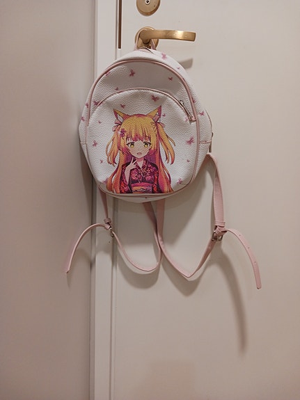 Pieni reppu