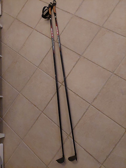 Silva Rex 155cm sauvat