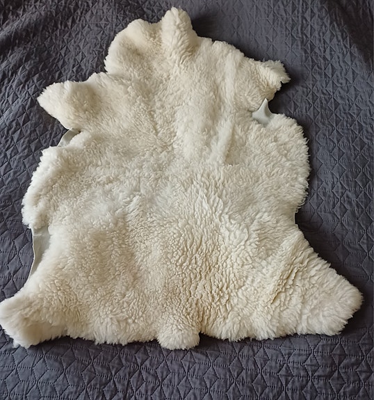 Aito lampaan talja