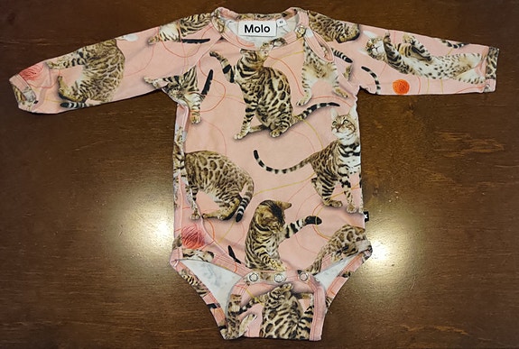 Molo body 62