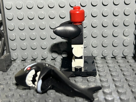 Product image 5 of 5