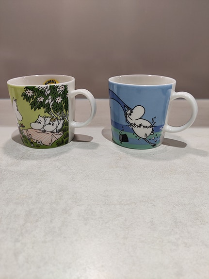 Muumimuki Loikoilua 25€, Delfiini sukellus 45€, arabia keräily