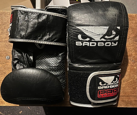 Bad boy säkkihanskat pro series