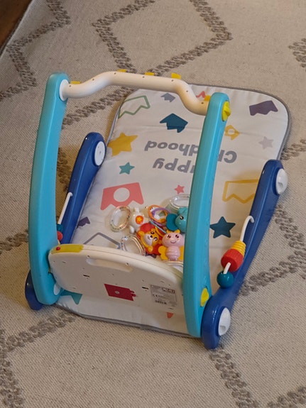 Toyz 2-1 playground and walker