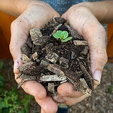 woodchips puutarhaan 🌱