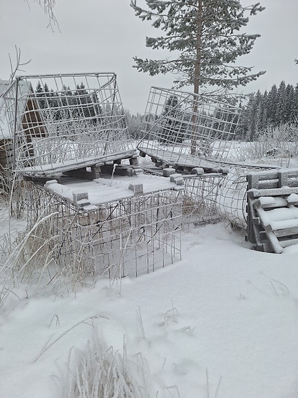 Polttopuu häkkejä ylimääräsii myytäväksi.