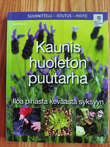 Kaunis huoleton puutarha