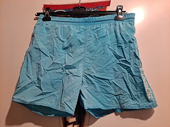 Sininen miesten uimashortsit Speedo