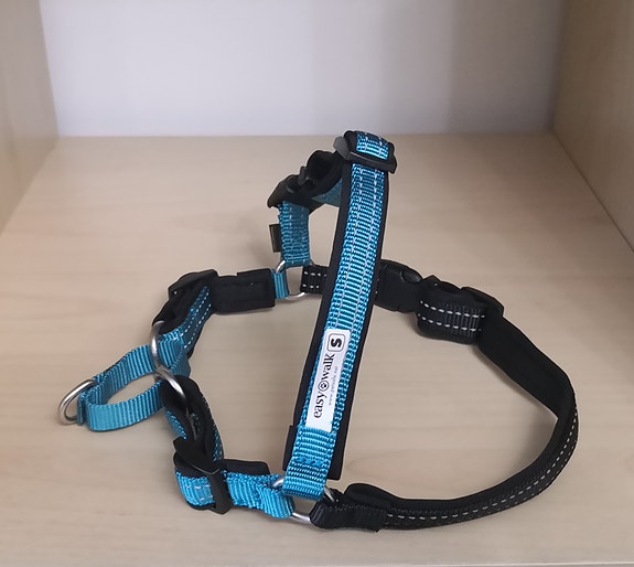 PetSafe EasyWalk koulutusvaljaat (koko S)