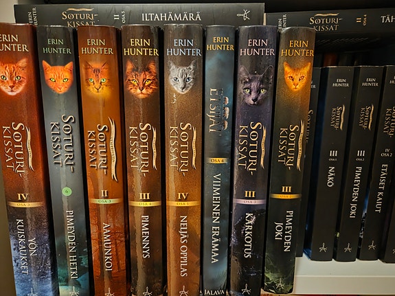 Erin Hunter Soturikissat, Etsijät, Uljasmaa