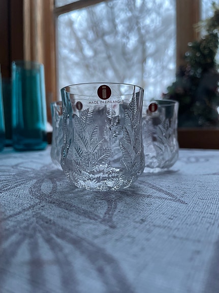 Iittala Koivu- Snapsilasit