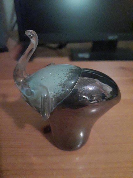 Lasi norsu