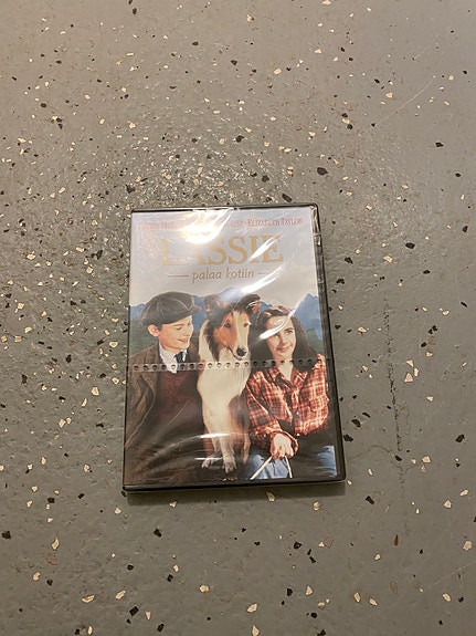 Lassie palaa kotiin dvd