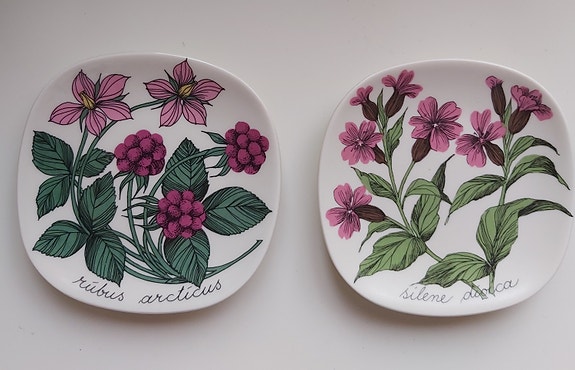 Arabia design Esteri Tomula seinälautanen