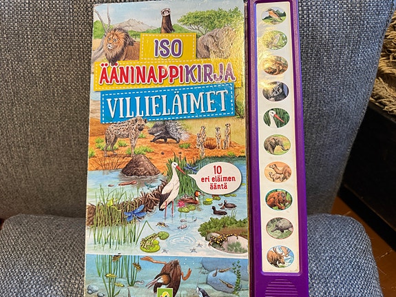 Lastenkirja