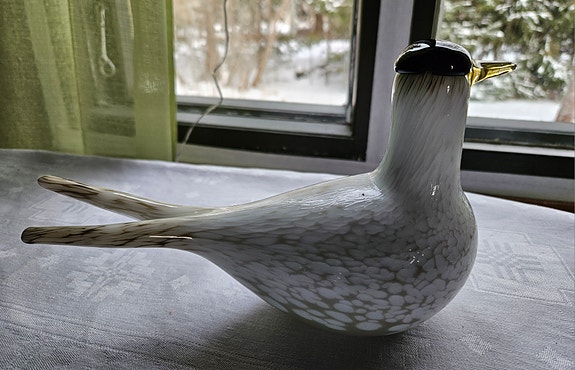 Toikan Lapintiira