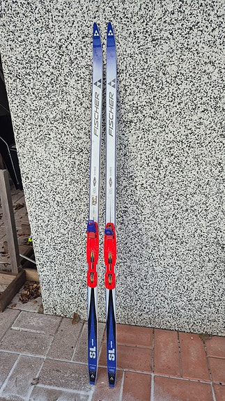 Fischer sukset