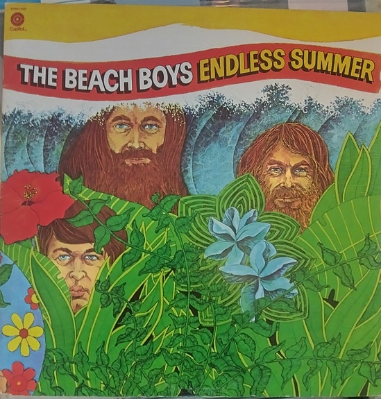 The Beach Boys svbb-11307