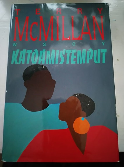 Terry Mcmillan:  Katoamistemput