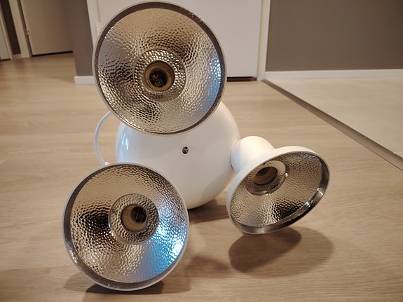 Spottivalaisin