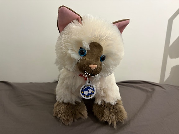 Build-A-Bear ragdoll kissa