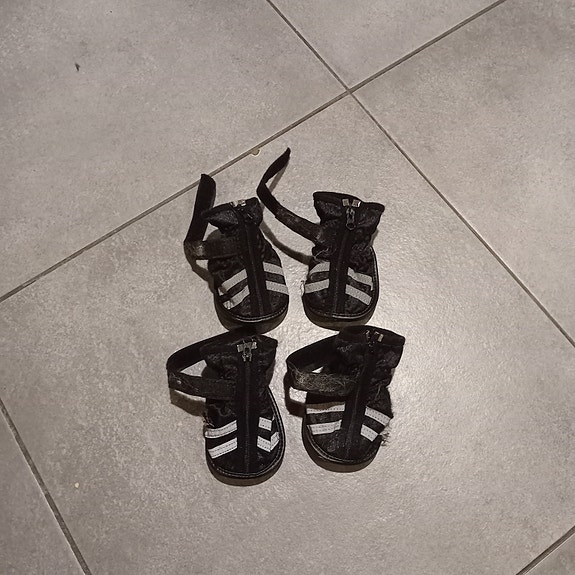 Koiran talvikengät, Rukka Pets Step 4 kpl, mustat