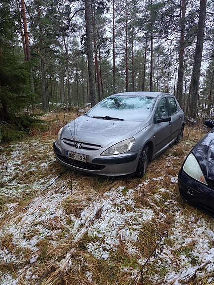 Peugeot 307 1.6 L bensa osina