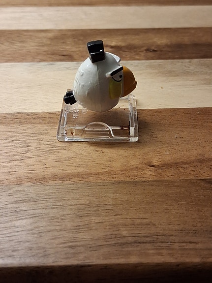 Angry birds