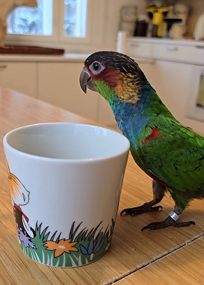 Product image 7 of 9