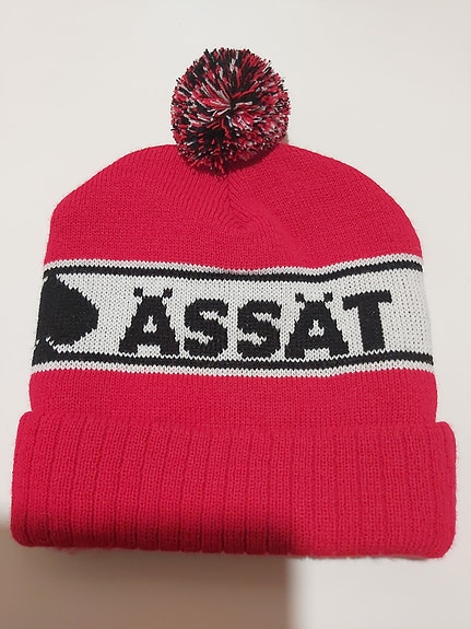 Porin Ässät tupsupipo