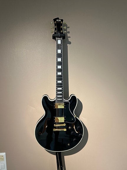 FGN Masterfield Puoliakustinen kitara