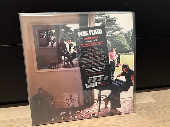 Pink Floyd - Ummagumma