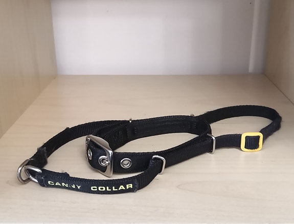 Canny Collar (koko 2)