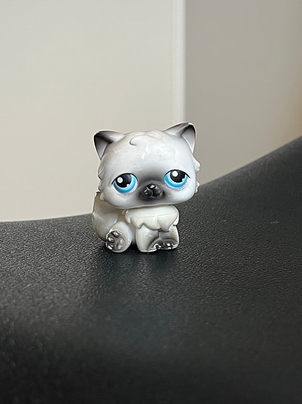 Littlest Pet Shop Kissa