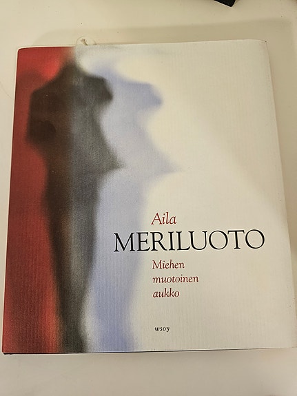 Aila Meriluoto: Miehen muotoinen aukko