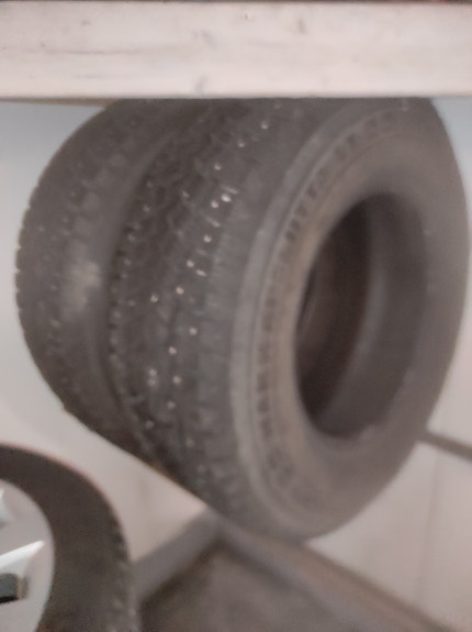 Nokian hakkapeliitta