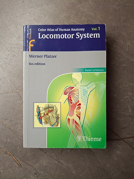 Werner Platzer Color Atlas of Human Anatomy Locomotor System -kirja