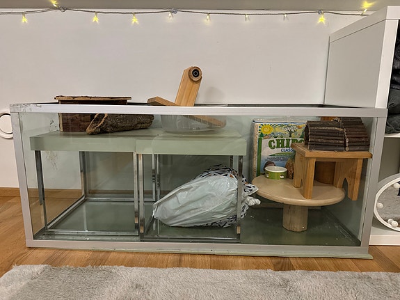 Lasinen terraario hamsterille