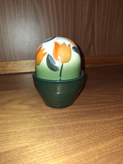 Arabian ikikukka tulppaani